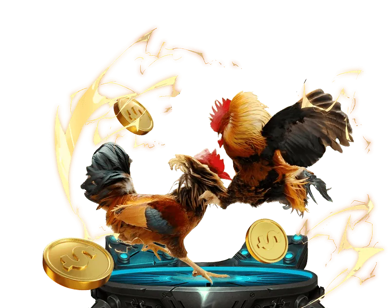 Chính sách lưu trữ dữ liệu an toàn tại 777loc